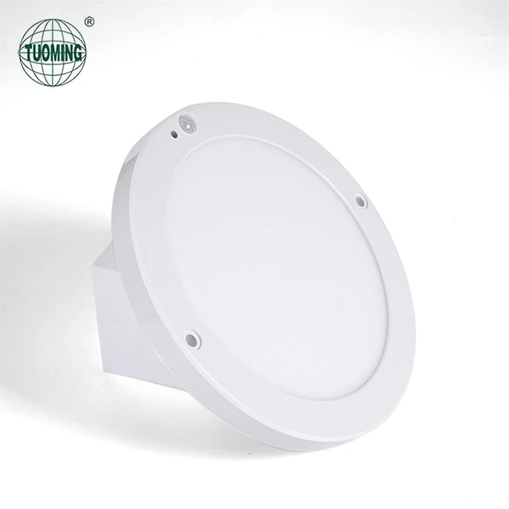 Led Ceiling Sensor Light factory